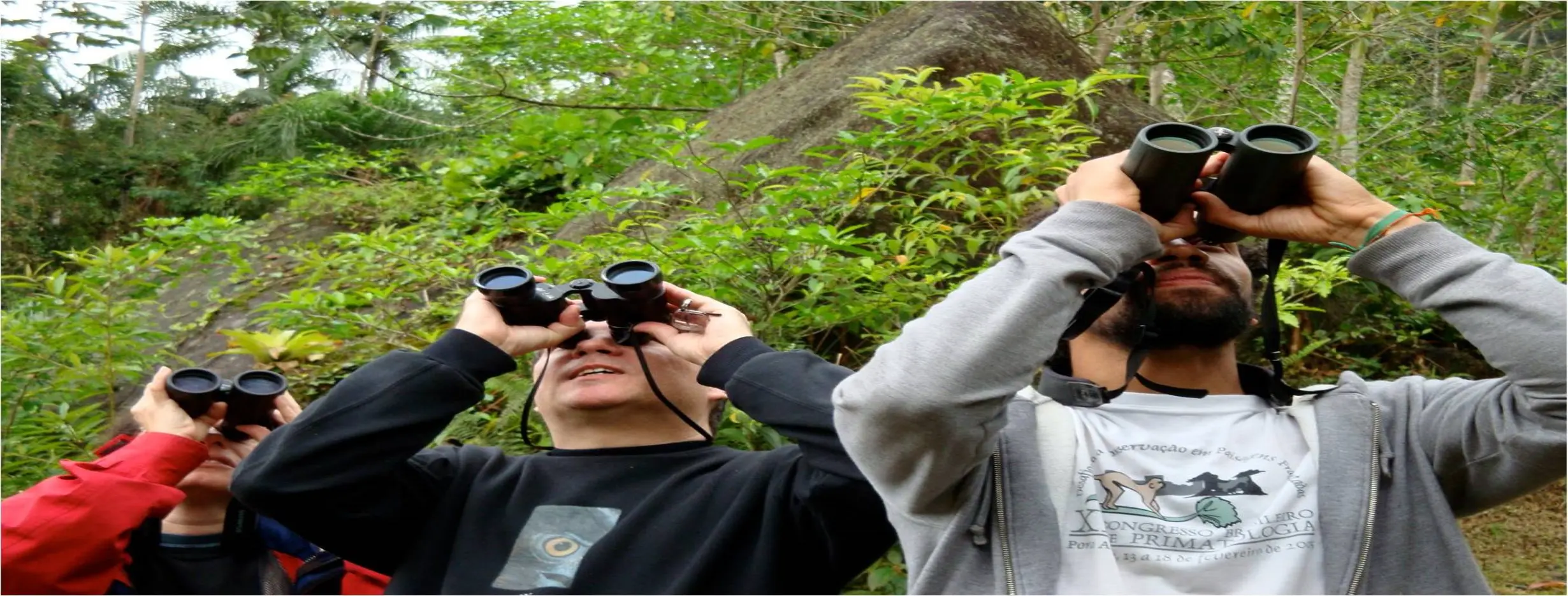 Image for Birdwatching Excursion
